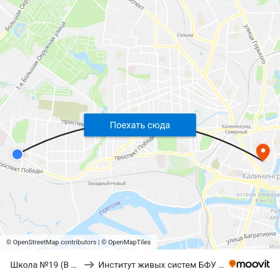 Школа №19 (В Центр) to Институт живых систем БФУ им. Канта map