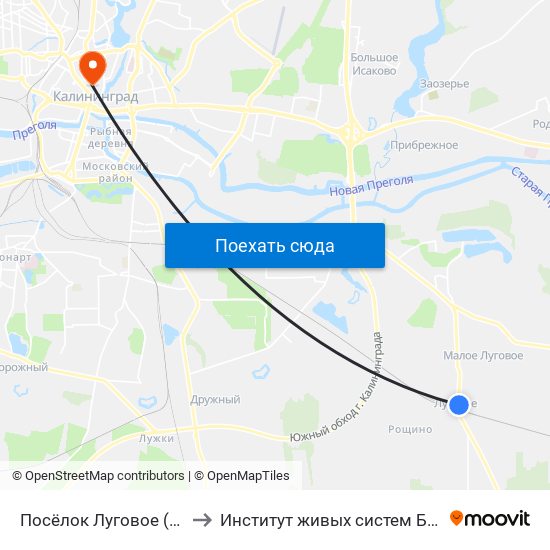 Посёлок Луговое (Конечная) to Институт живых систем БФУ им. Канта map