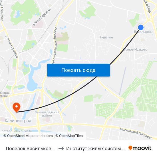 Посёлок Васильково-2 (В Центр) to Институт живых систем БФУ им. Канта map