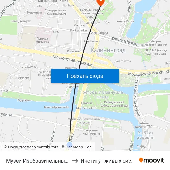 Музей Изобразительных Искусств (В Центр) to Институт живых систем БФУ им. Канта map