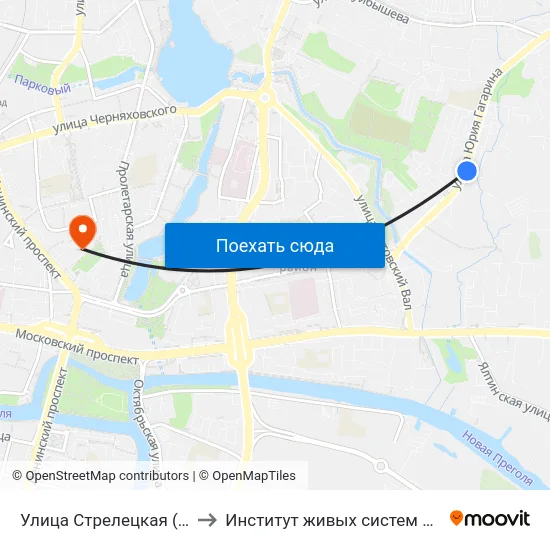 Улица Стрелецкая (Из Центра) to Институт живых систем БФУ им. Канта map