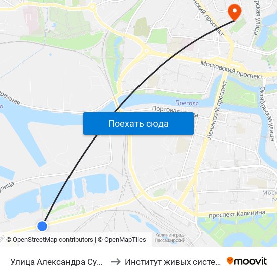 Улица Александра Суворова (В Центр) to Институт живых систем БФУ им. Канта map