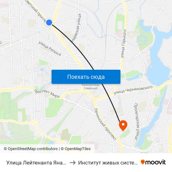 Улица Лейтенанта Яналова (Из Центра) to Институт живых систем БФУ им. Канта map