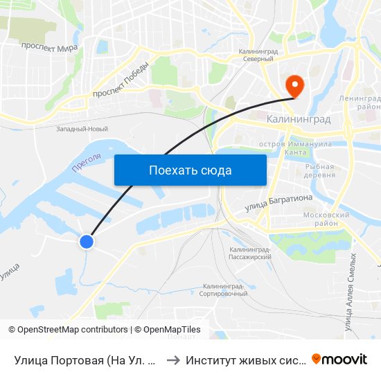 Улица Портовая (На Ул. Транспортная, В Центр) to Институт живых систем БФУ им. Канта map