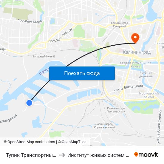 Тупик Транспортный (В Центр) to Институт живых систем БФУ им. Канта map