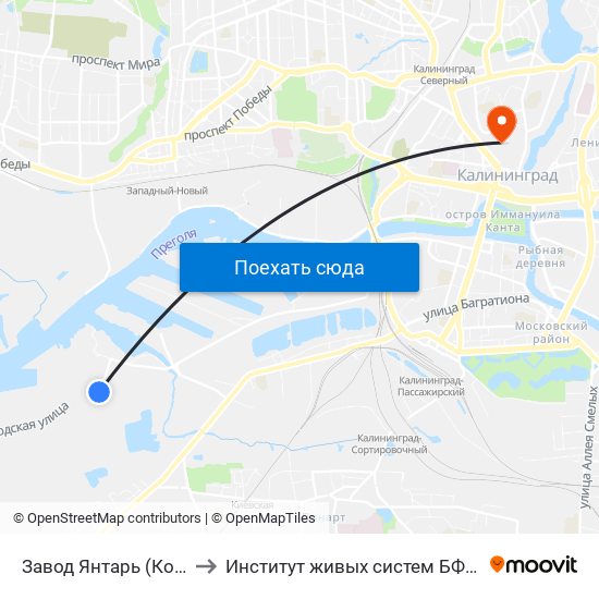 Завод Янтарь (Конечная) to Институт живых систем БФУ им. Канта map