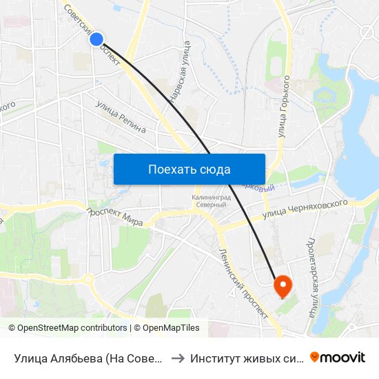 Улица Алябьева (На Советском Проспекте, В Центр) to Институт живых систем БФУ им. Канта map