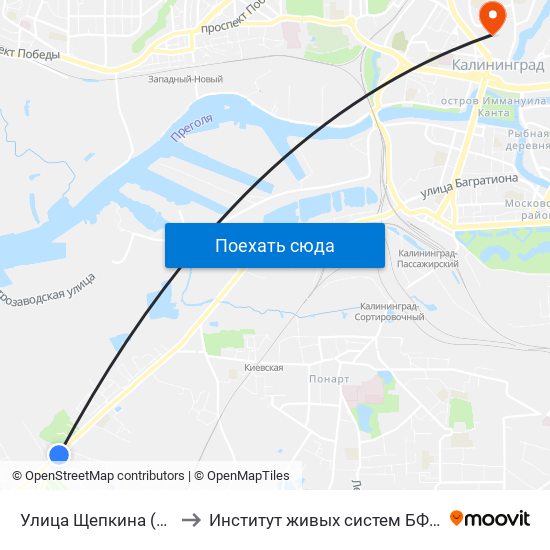 Улица Щепкина (В Центр) to Институт живых систем БФУ им. Канта map