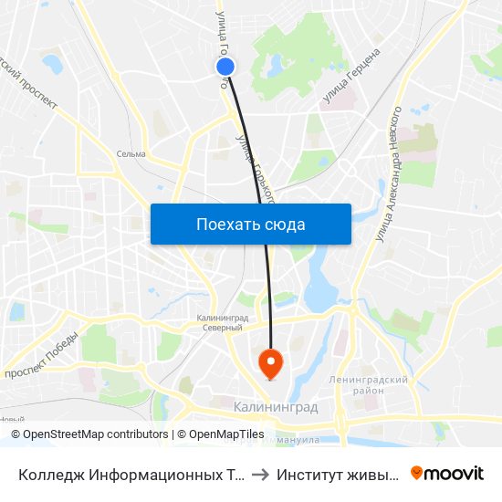 Колледж Информационных Технологий И Строительства (Из Центра) to Институт живых систем БФУ им. Канта map