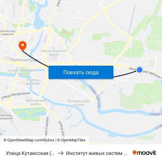 Улица Кутаисская (Из Центра) to Институт живых систем БФУ им. Канта map