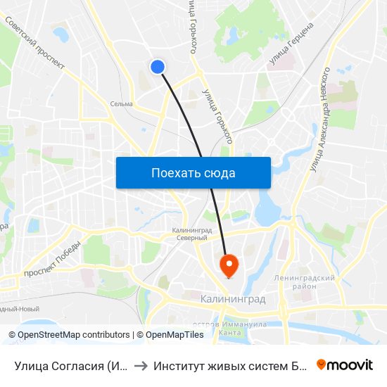 Улица Согласия (Из Центра) to Институт живых систем БФУ им. Канта map