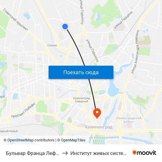 Бульвар Франца Лефорта (В Центр) to Институт живых систем БФУ им. Канта map