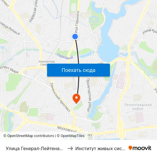 Улица Генерал-Лейтенанта Озерова (В Центр) to Институт живых систем БФУ им. Канта map