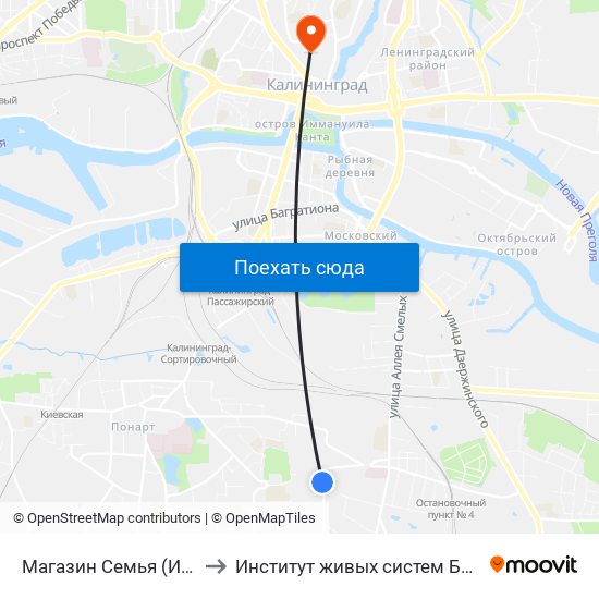 Магазин Семья (Из Центра) to Институт живых систем БФУ им. Канта map