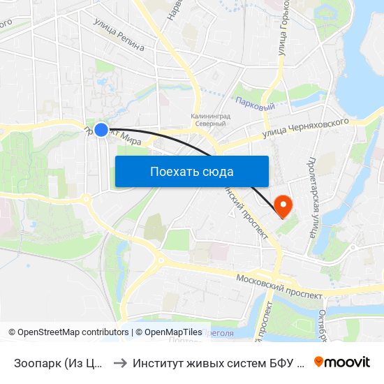 Зоопарк (Из Центра) to Институт живых систем БФУ им. Канта map