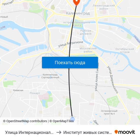 Улица Интернациональная (Из Центра) to Институт живых систем БФУ им. Канта map