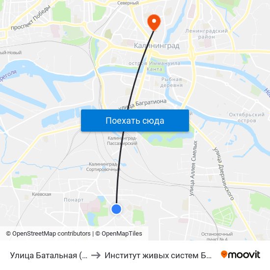 Улица Батальная (В Центр) to Институт живых систем БФУ им. Канта map