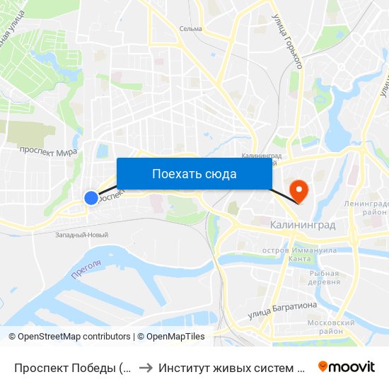 Проспект Победы (Из Центра) to Институт живых систем БФУ им. Канта map