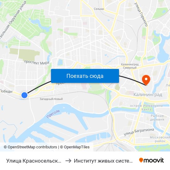 Улица Красносельская (Из Центра) to Институт живых систем БФУ им. Канта map