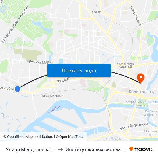 Улица Менделеева (Из Центра) to Институт живых систем БФУ им. Канта map