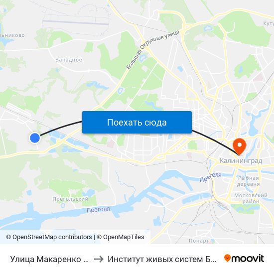 Улица Макаренко (В Центр) to Институт живых систем БФУ им. Канта map