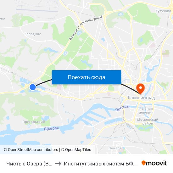 Чистые Озёра (В Центр) to Институт живых систем БФУ им. Канта map