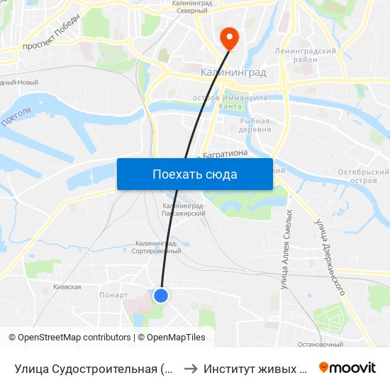 Улица Судостроительная (На Улице Батальная, Из Центра) to Институт живых систем БФУ им. Канта map
