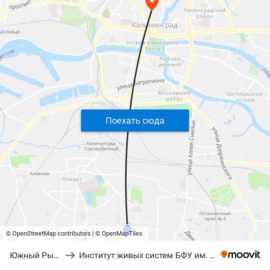 Южный Рынок to Институт живых систем БФУ им. Канта map