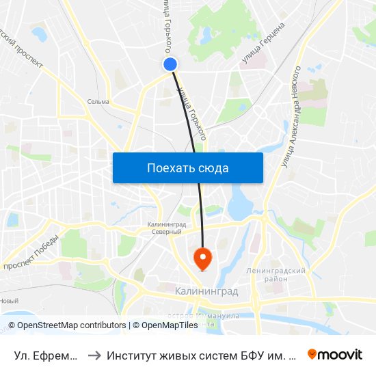 Ул. Ефремова to Институт живых систем БФУ им. Канта map