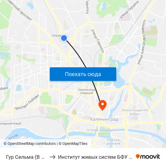 Гур Сельма (В Центр) to Институт живых систем БФУ им. Канта map