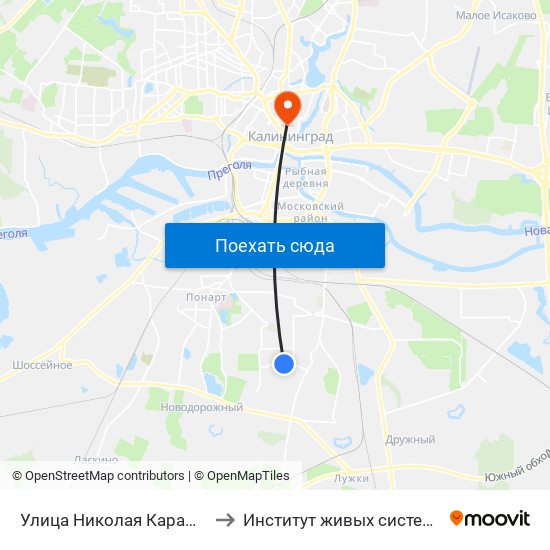 Улица Николая Карамзина (В Центр) to Институт живых систем БФУ им. Канта map