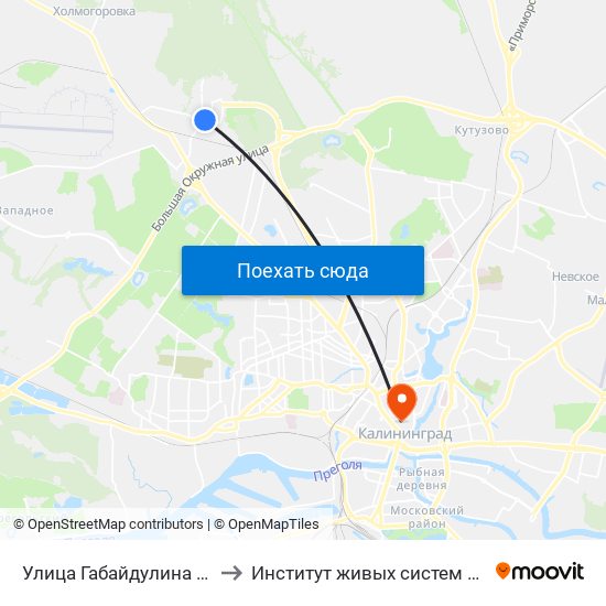 Улица Габайдулина (Из Центра) to Институт живых систем БФУ им. Канта map