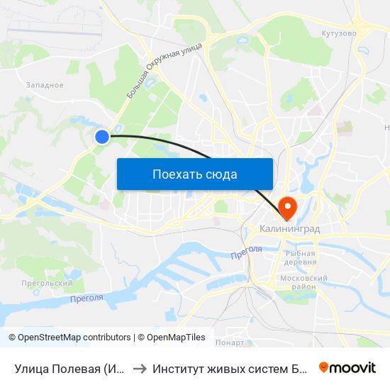 Улица Полевая (Из Центра) to Институт живых систем БФУ им. Канта map