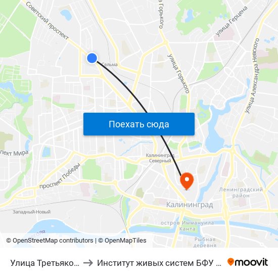 Улица Третьяковская to Институт живых систем БФУ им. Канта map