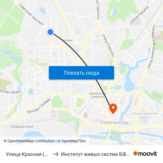 Улица Красная (В Центр) to Институт живых систем БФУ им. Канта map