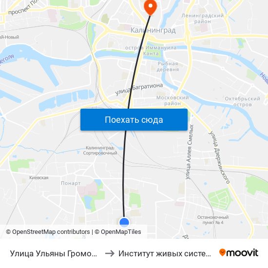 Улица Ульяны Громовой (Из Центра) to Институт живых систем БФУ им. Канта map