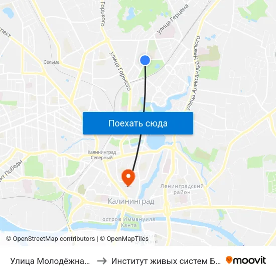 Улица Молодёжная (В Центр) to Институт живых систем БФУ им. Канта map