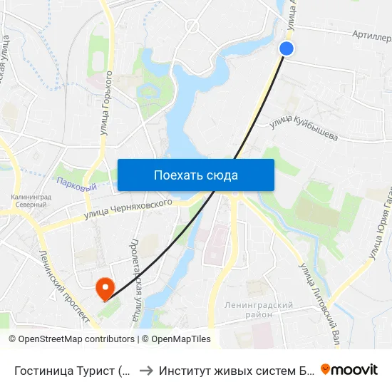 Гостиница Турист (Из Центра) to Институт живых систем БФУ им. Канта map