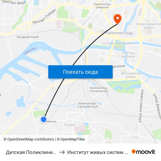 Детская Поликлиника (В Центр) to Институт живых систем БФУ им. Канта map