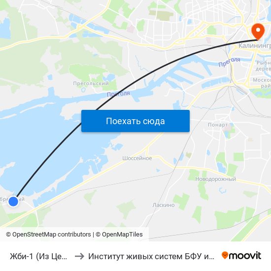 Жби-1 (Из Центра) to Институт живых систем БФУ им. Канта map