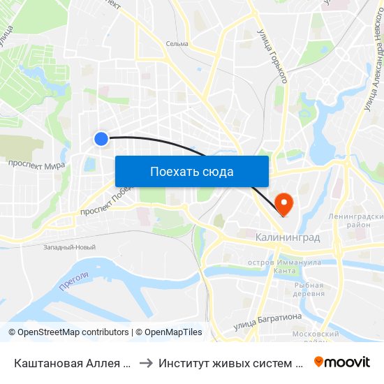 Каштановая Аллея (Из Центра) to Институт живых систем БФУ им. Канта map