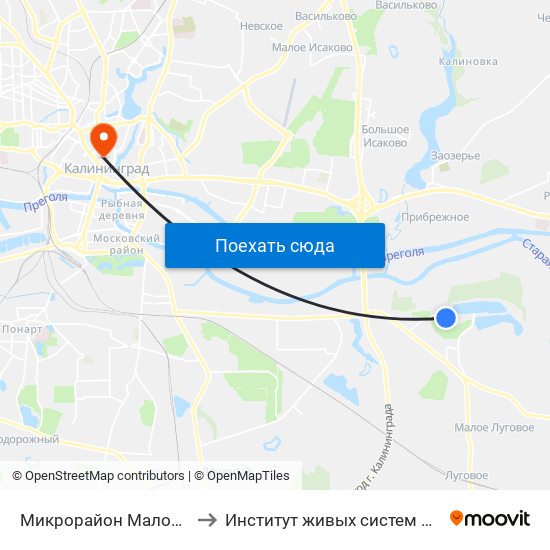 Микрорайон Малое Борисово to Институт живых систем БФУ им. Канта map