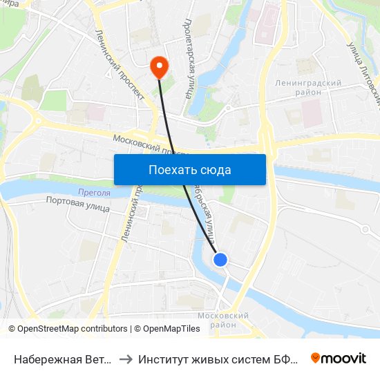 Набережная Ветеранов to Институт живых систем БФУ им. Канта map