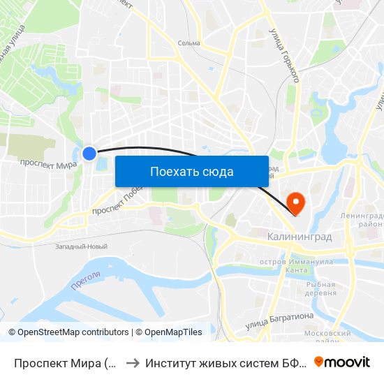 Проспект Мира (В Центр) to Институт живых систем БФУ им. Канта map