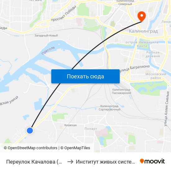 Переулок Качалова (По Требованию) to Институт живых систем БФУ им. Канта map