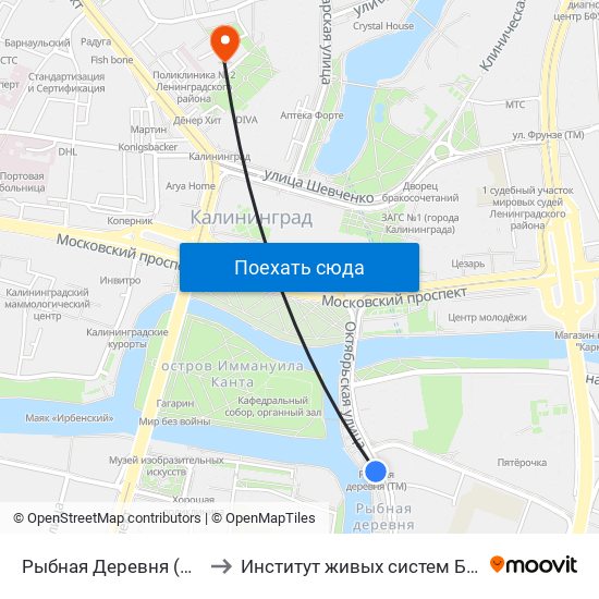 Рыбная Деревня (Из Центра) to Институт живых систем БФУ им. Канта map