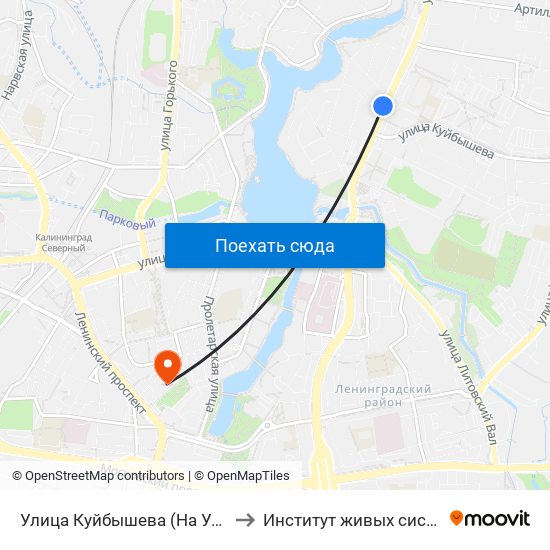 Улица Куйбышева (На Ул. Невского, В Центр) to Институт живых систем БФУ им. Канта map