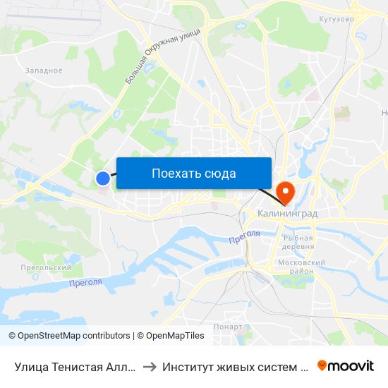 Улица Тенистая Аллея (В Центр) to Институт живых систем БФУ им. Канта map