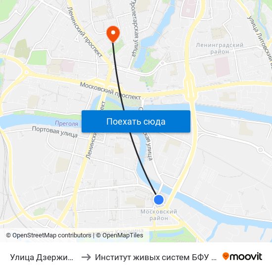 Улица Дзержинского to Институт живых систем БФУ им. Канта map