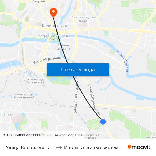 Улица Волочаевская (В Центр) to Институт живых систем БФУ им. Канта map